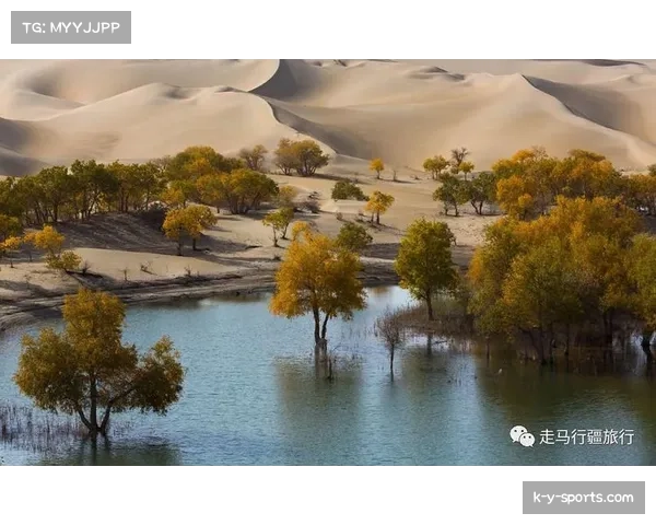 门内加运动能力出色,新疆队快攻反击中又多一可靠终结点 门内加运动能力出色,新疆队快攻反击中又多一可靠终结点